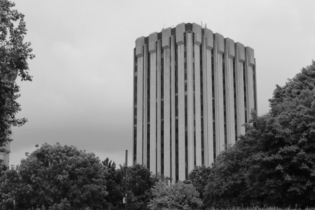 A tower block surrounded by trees.
